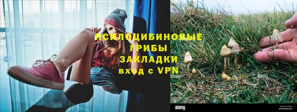 МДПВ Магас